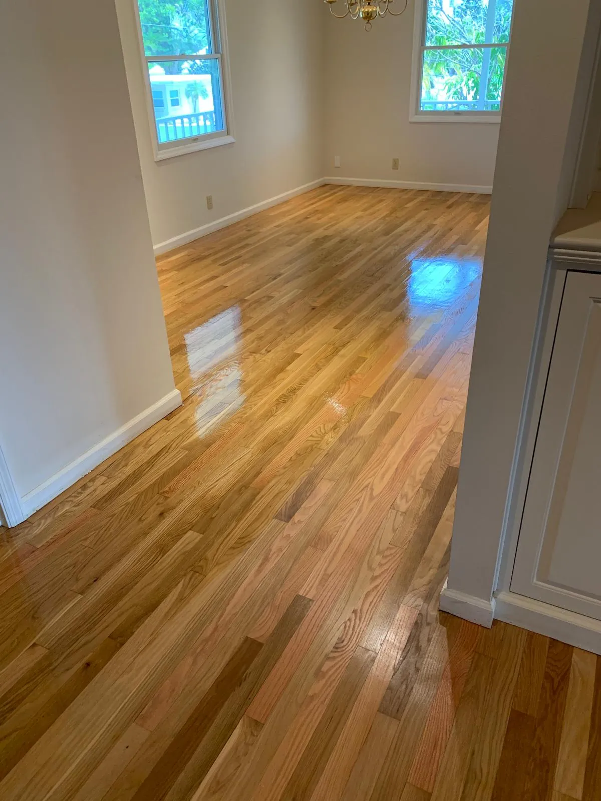 Red oak dining room floor sanded and refinished to a high-gloss finish in Sarasota