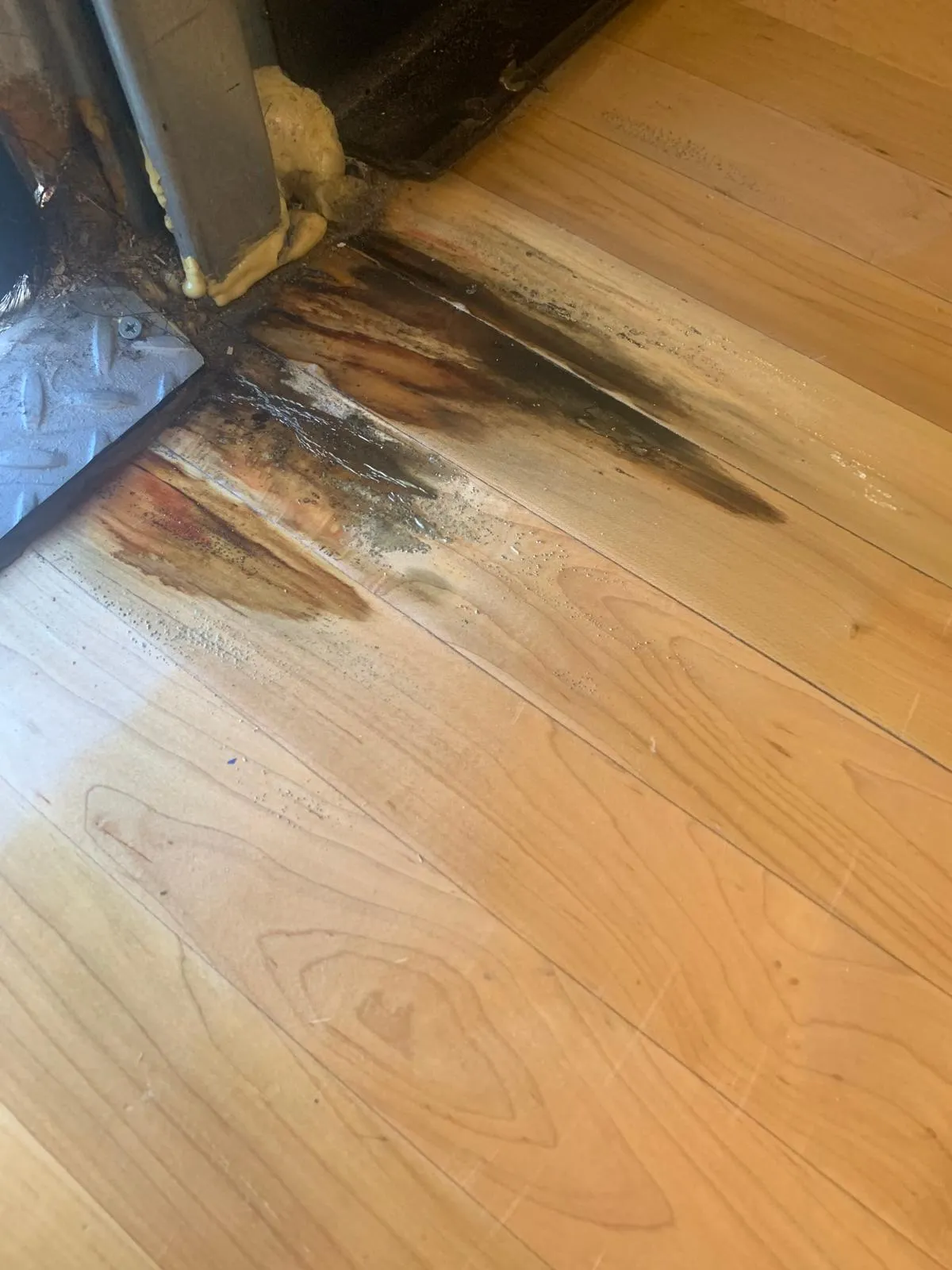 Water-damaged hardwood boards being repaired by EGR Wood Floors in Sarasota