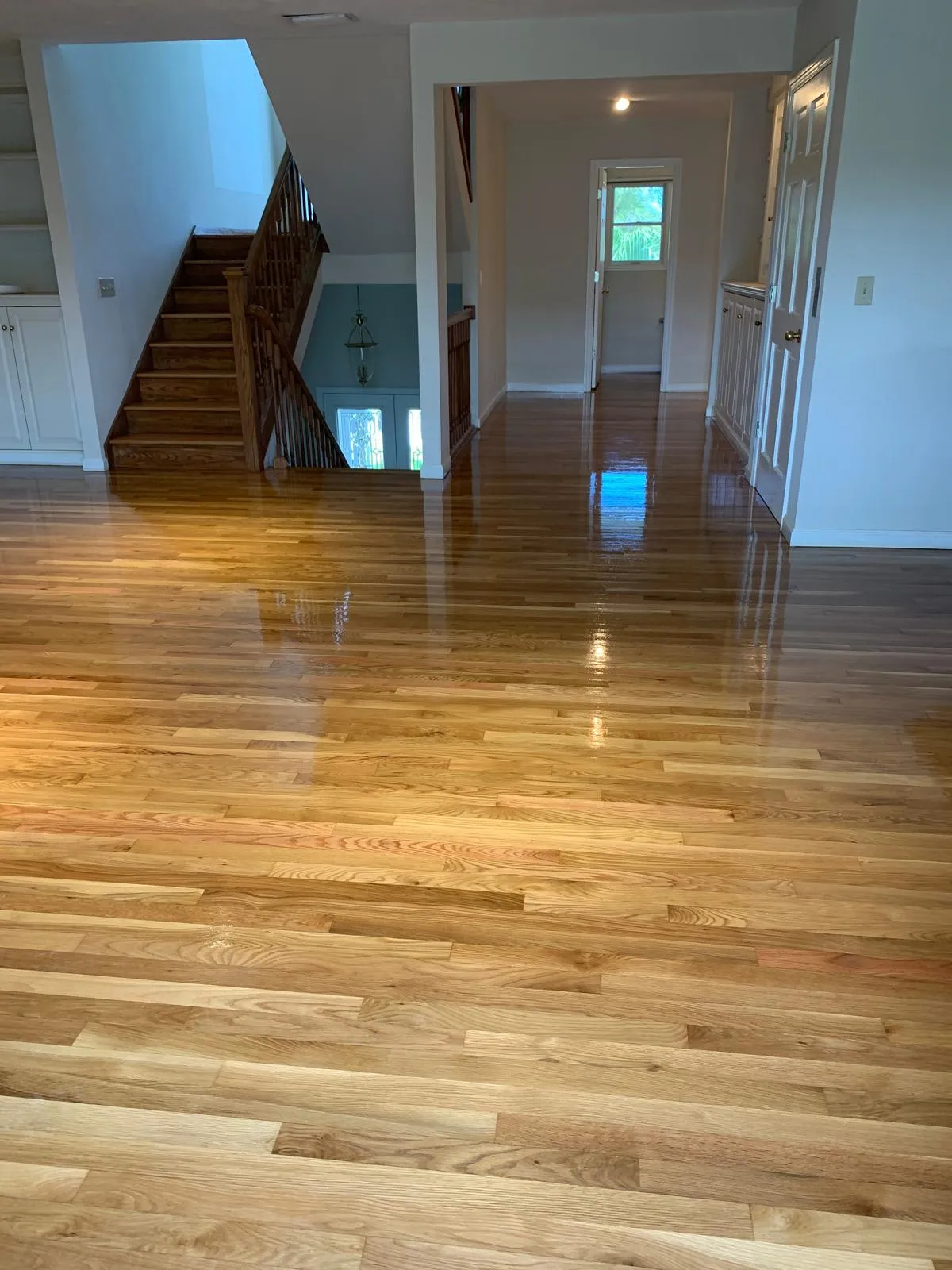 Freshly sanded and refinished red oak floor with a glossy finish in a Sarasota home